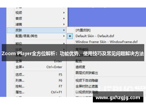 Zoom Player全方位解析：功能优势、使用技巧及常见问题解决方法